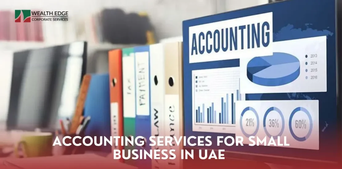 Accounting Services for Small Business in UAE